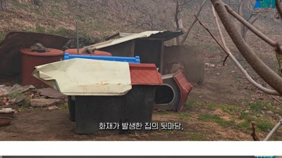 산불로 인해 목줄 묶인 개들은 그대로 죽어가는 중