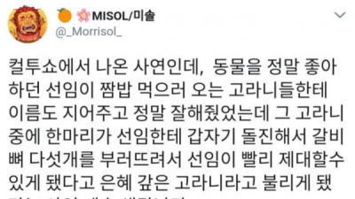   				동물좋아하는 선임의 최후			