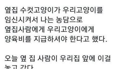   				옆집고양이가 우리집고양이 임신시킴			