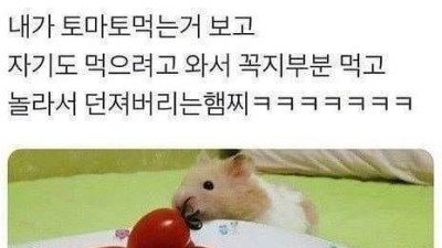   				햄스터도 피하는			