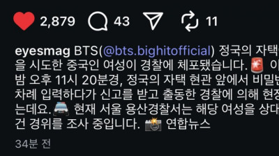 BTS 정국 집에 무단침입한 중국인  글에 댓글