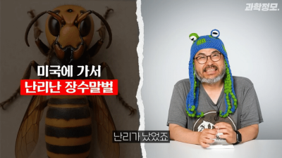 장수말벌과의 전쟁에서 승리 선언한 미국