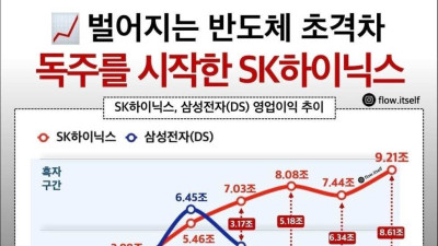 삼성전자 vs 하이닉스 경쟁 현황 