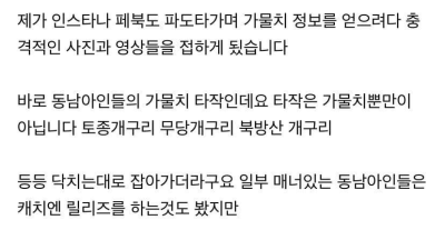 베트남인들이 한국에 와서 가물치 낚시 타작