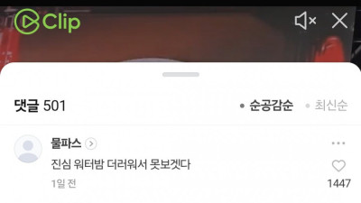 권은비  워터밤.. 네이버 반응