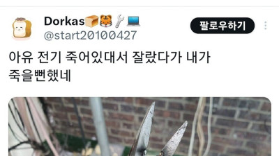 전기선 자르다가 죽을뻔한 사람 