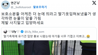 논산 딸기축제에 온 유기견 강아지들