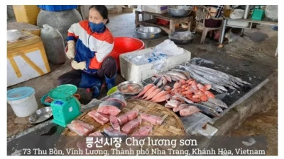 어째서인지 베트남에서 인정받는 한국인들