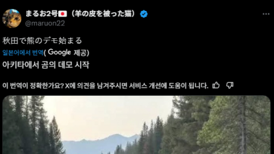 오싹오싹.. 일본 아키타현 곰 근황 