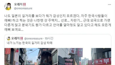 일본인이 보고 너무 예쁘다고 한 한국 길거리 사진