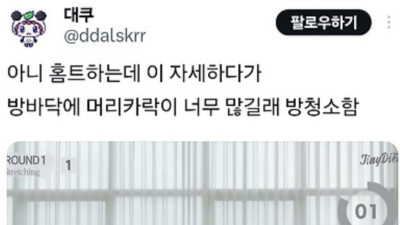 집에서 운동 못하는 이유