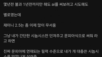 현역 웹소설 작가가 ai한테 현타 느끼고 쓴글 
