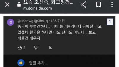 요즘 중국인들이 밀고 있는 것 