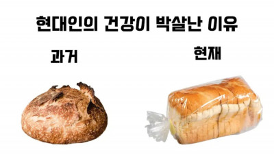 현대인들의 건강이 박살난 이유