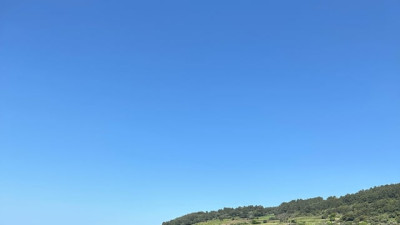 외국인들이 레딧에 올린 제주도 사진
