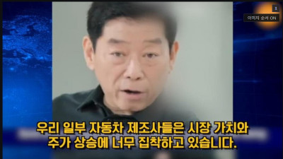 중국 전기차 BYD 위기설 ㅈ되네 ㄷㄷㄷ