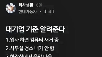 대기업의 기준을 알려주는 현대차 블라인드 글