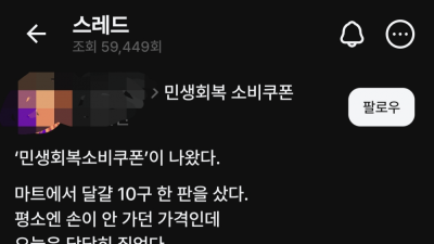 싱글벙글 민생지원금 문학 근황 