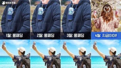 한국인 1년 의상 요약