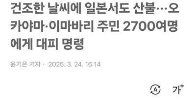 현재 세계가 한국 산불에 관심을 못주는 이유