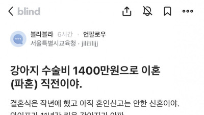 강아지 수술비 1400만원 때문에 이혼 직전인 공무원 