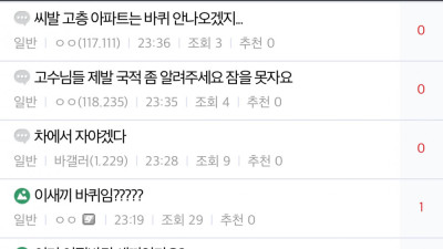 디시에서 요즘 리젠 미쳤다는 갤러리