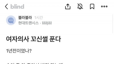 현대 직원이 여자 의사 꼬신 썰 레전드