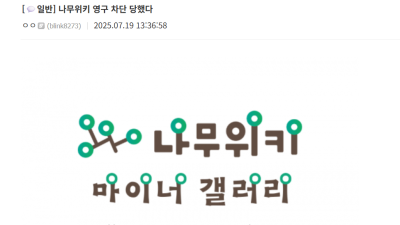 의외로 나무위키에서 하면 영구차단 당하는 것 