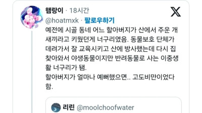 시골 할아버지가 산에서 주운 강아지의 반전