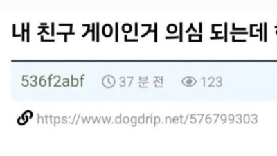 내 친구 게이인 거 의심되는데 한 번 봐주라