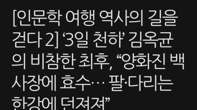 (약혐) 조선시대 쿠데타 실패한 사람의 최후
