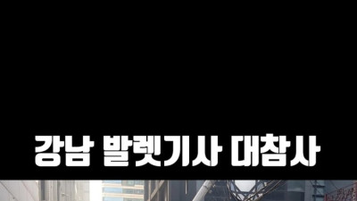 인생 조진 발렛기사
