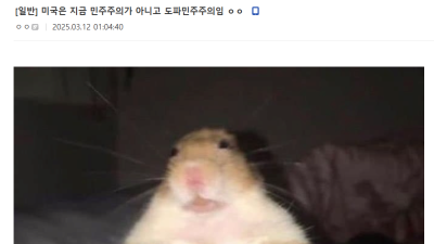 미국의 새로운 정치체제 ㄷㄷ 