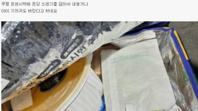 충격적인 쿠팡 프레시백 상황