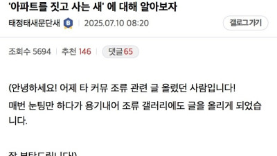 아파트를 짓고 사는 새
