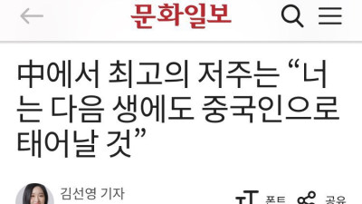 중국인들 최악의 욕