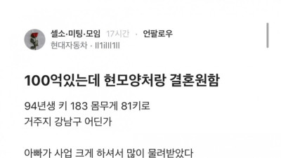 블라) 100억 있는데 현모양처랑 결혼원함