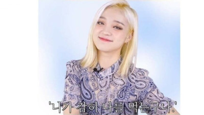 너가 감히 나를 먹는구나좌 악플러 고소후기