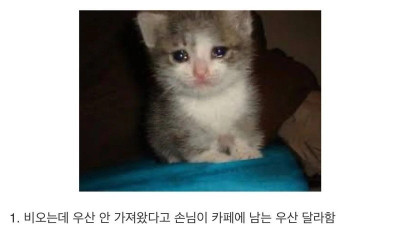 자영업이 진짜 ㅈ같은 이유