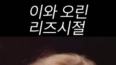 쇼츠에서 화제중인 배우 이와 오린 리즈시절