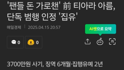 팬들 돈 가로챈 前 티아라 아름 단독 범행 인정 집유