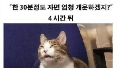휴일에 낮잠 자면 ㅈ되는 이유